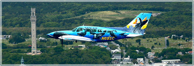 Cape Air's Whale Plane for IFAW